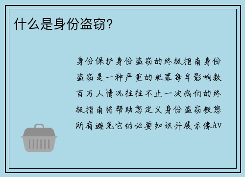 什么是身份盗窃？